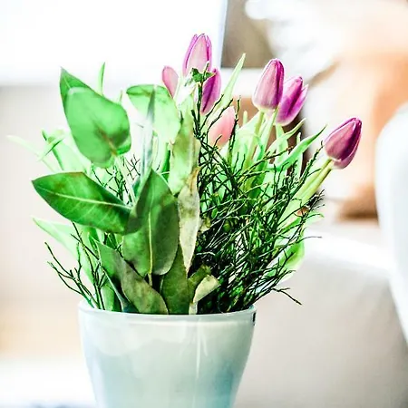 Carl-kaiser-loft I Lägenhet *