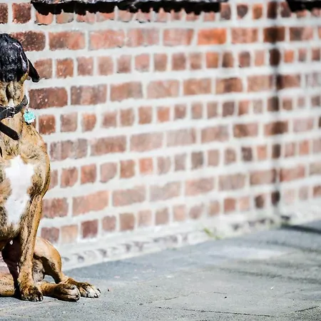 Carl-kaiser-loft I Solingen