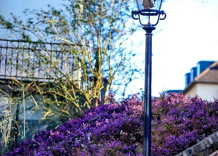 Appartement Carl-kaiser-loft I *