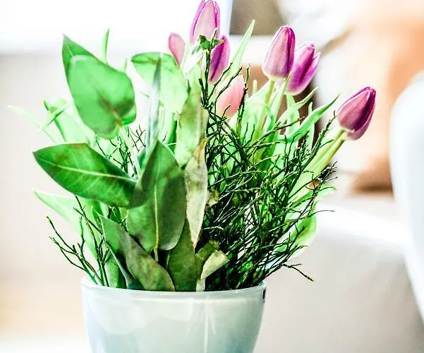 Carl-kaiser-loft I Appartement *