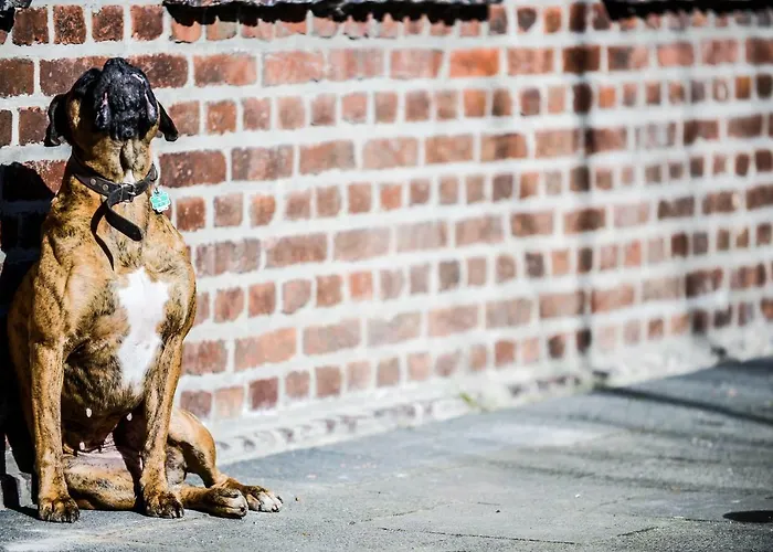 Carl-kaiser-loft I Solingen